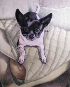 Cane